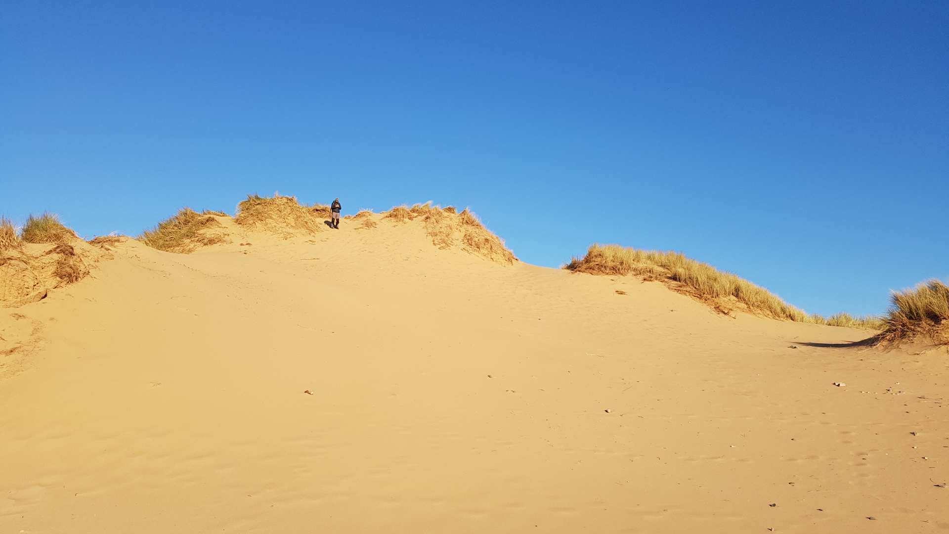 Perfect beach walking at Sandscale Haws in Cumbria